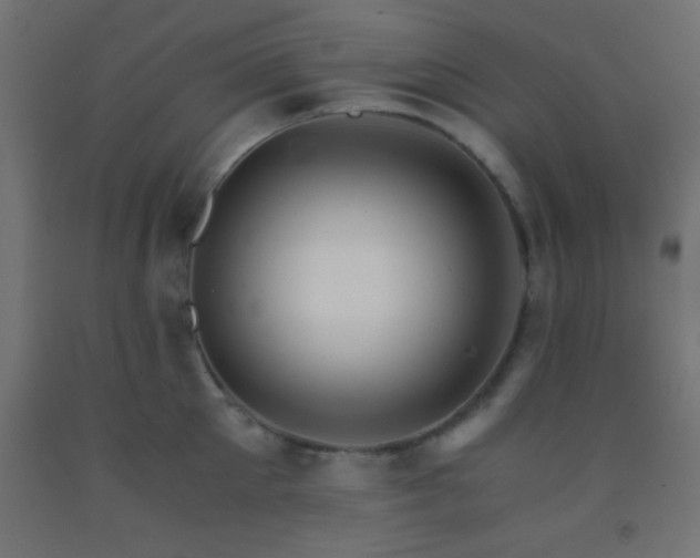 X0000092290905200709281303