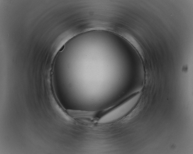 X0000092290906200709281303