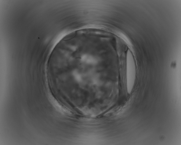 X0000092290907200709281303