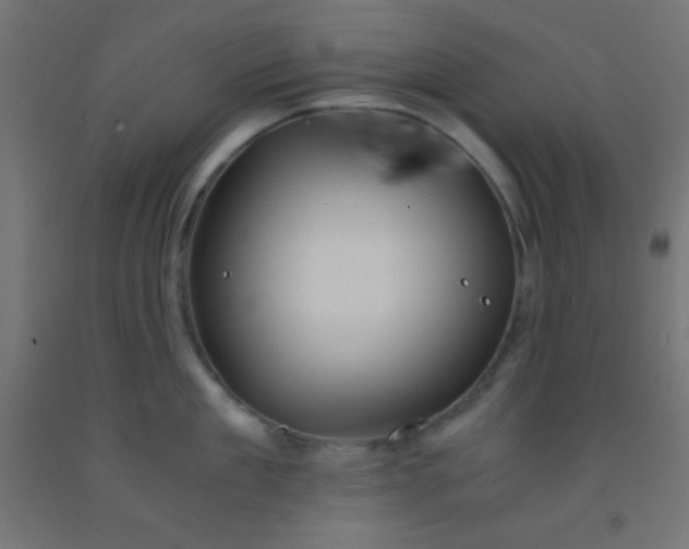 X0000092290909200709281303