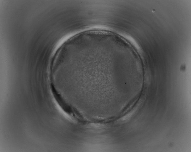 X0000092290910200709281303