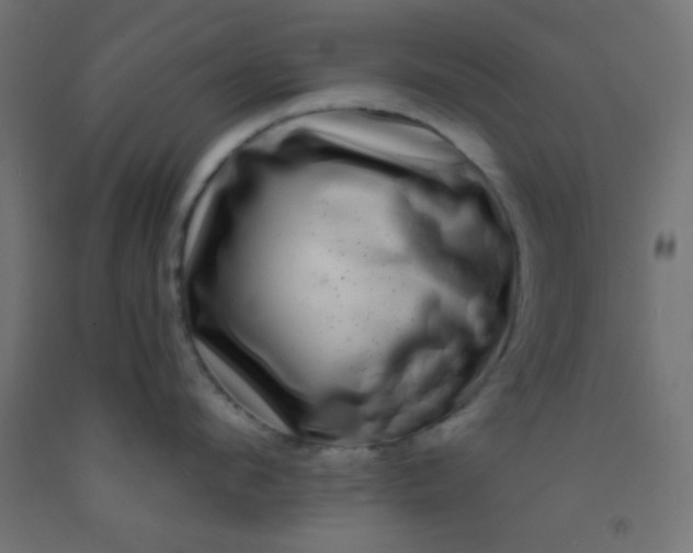 X0000092290912200709281303