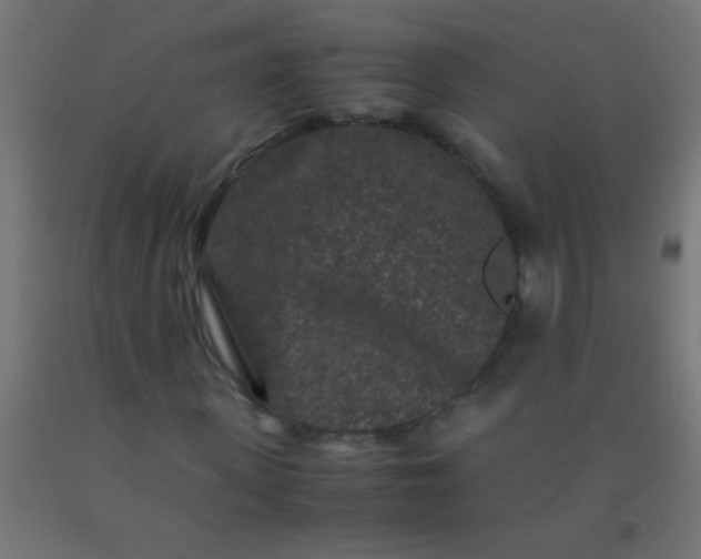 X0000092290915200709281303