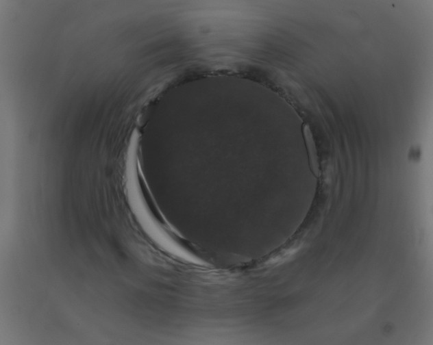 X0000092290916200709281303