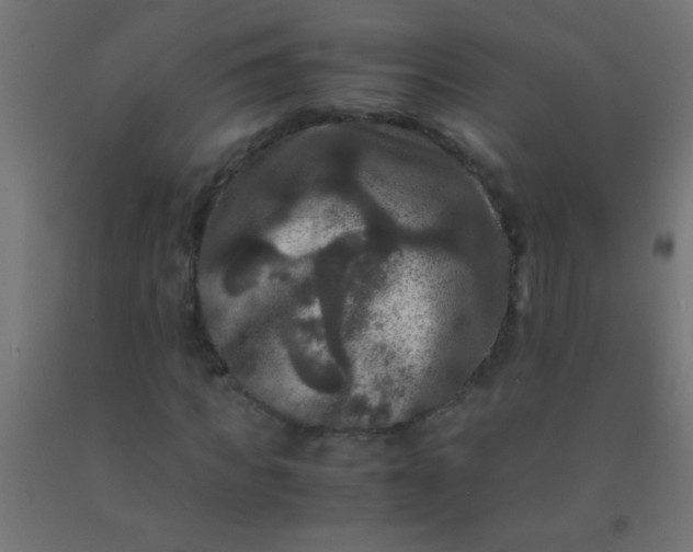 X0000092290917200709281303