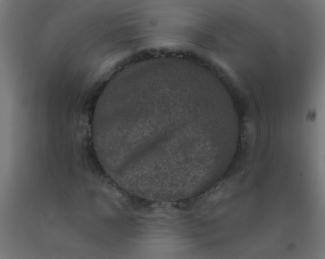 X0000092290918200709281303