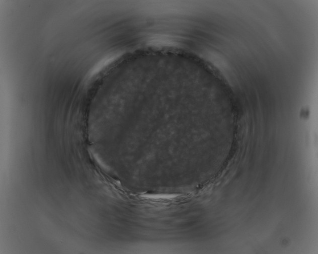 X0000092290919200709281303