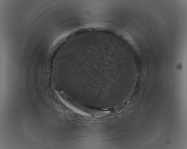 X0000092290920200709281303