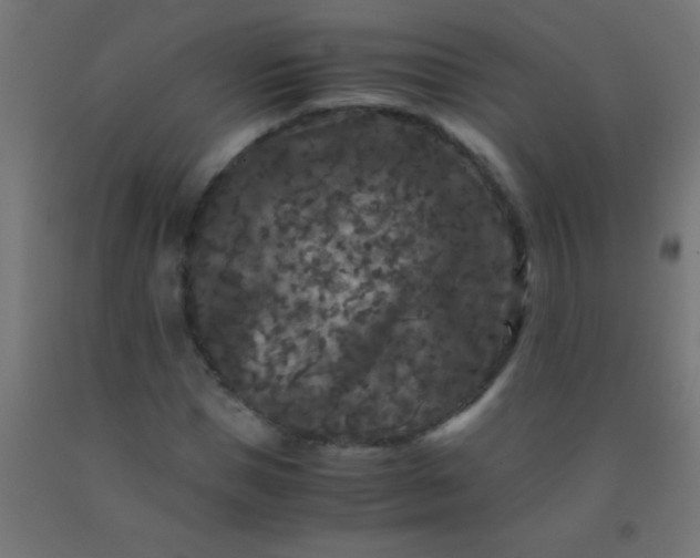 X0000092290921200709281303