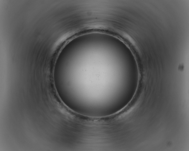 X0000092290922200709281303