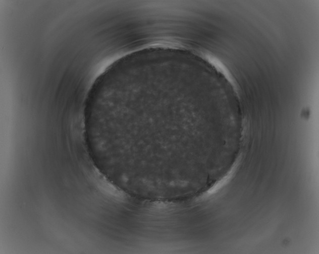 X0000092290923200709281303