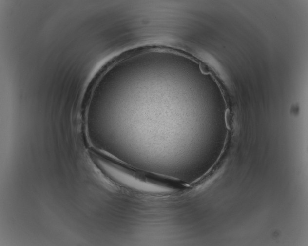 X0000092290924200709281303