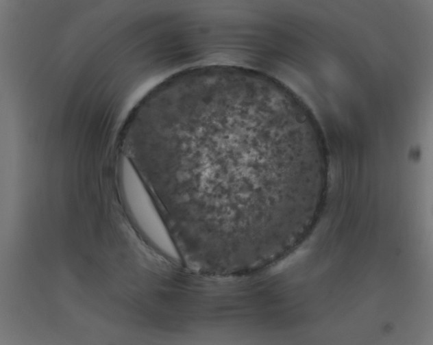 X0000092290925200709281303