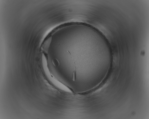 X0000092290926200709281303