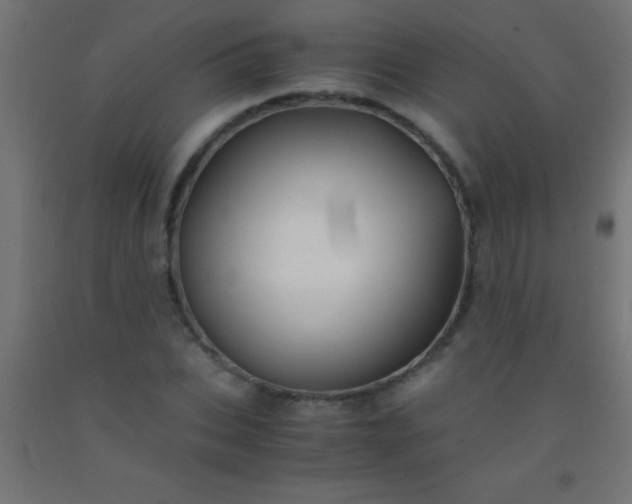 X0000092290927200709281303