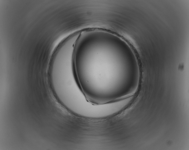 X0000092290928200709281303