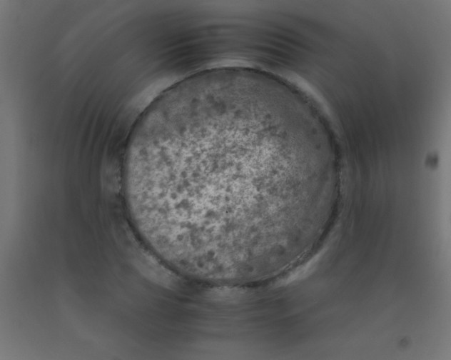 X0000092290929200709281303