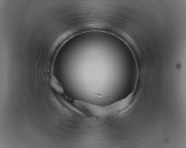 X0000092290930200709281303