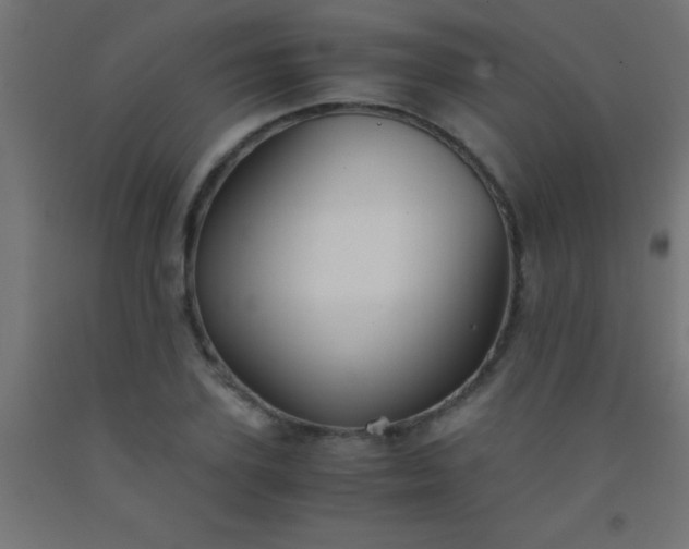 X0000092290931200709281303