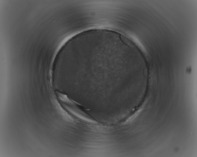 X0000092290932200709281303