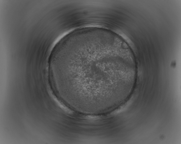 X0000092290933200709281303