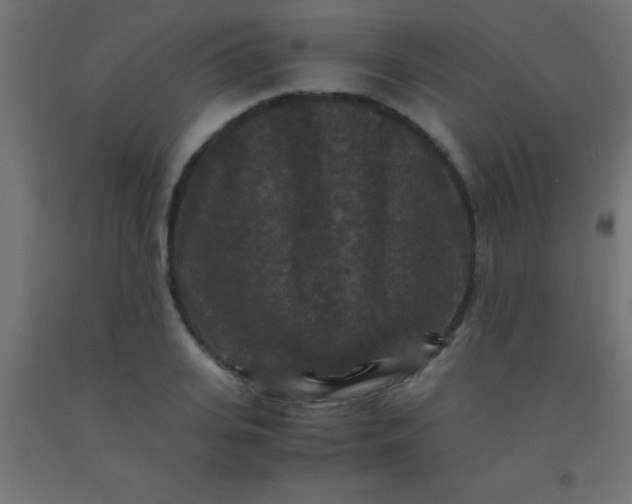 X0000092290935200709281303