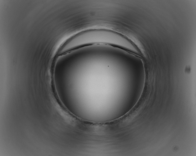 X0000092290936200709281303