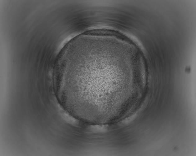 X0000092290937200709281303