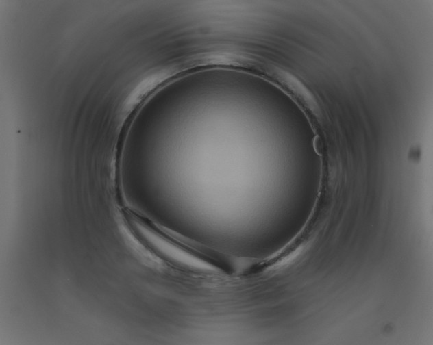 X0000092290938200709281303