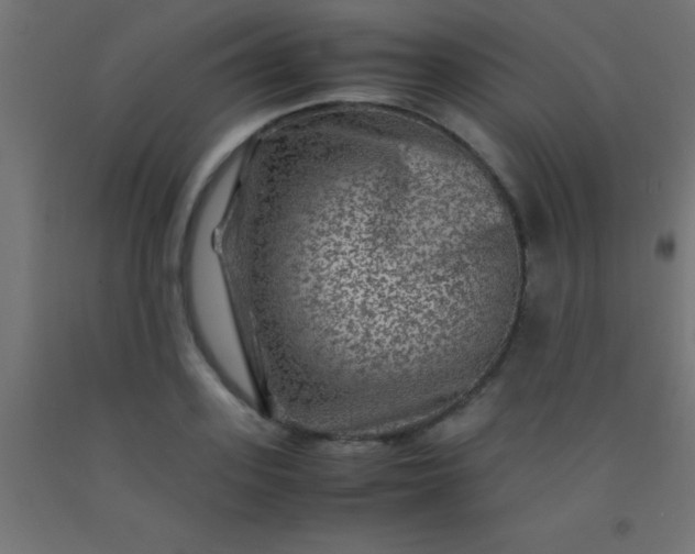 X0000092290939200709281303