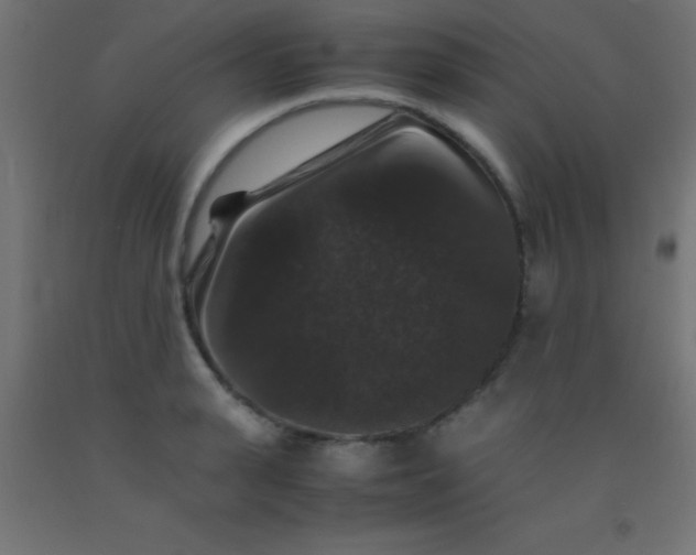 X0000092290943200709281303