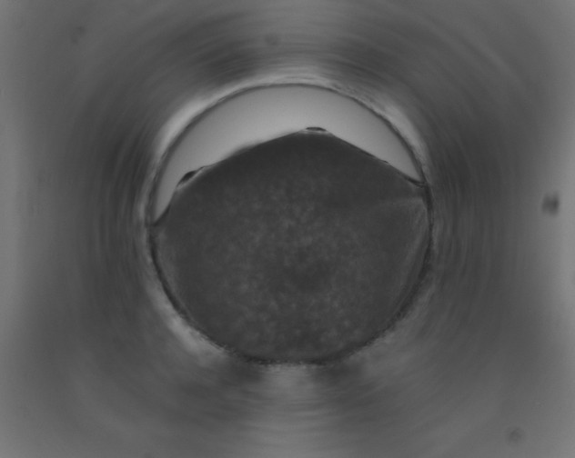 X0000092290944200709281303