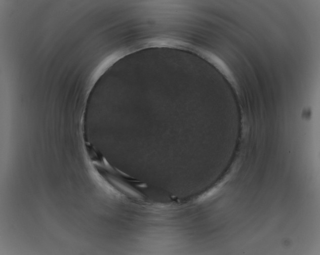 X0000092290946200709281303