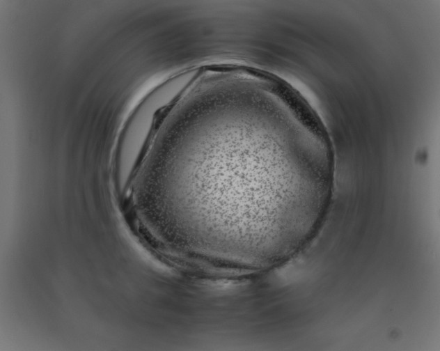 X0000092290949200709281303