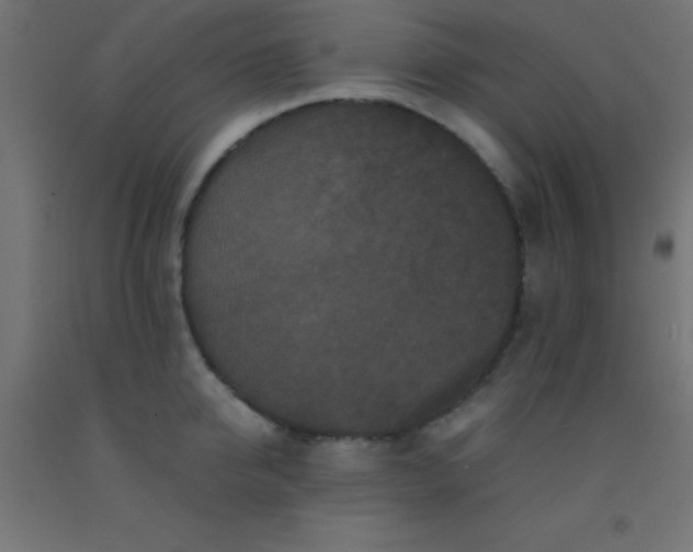 X0000092290950200709281303