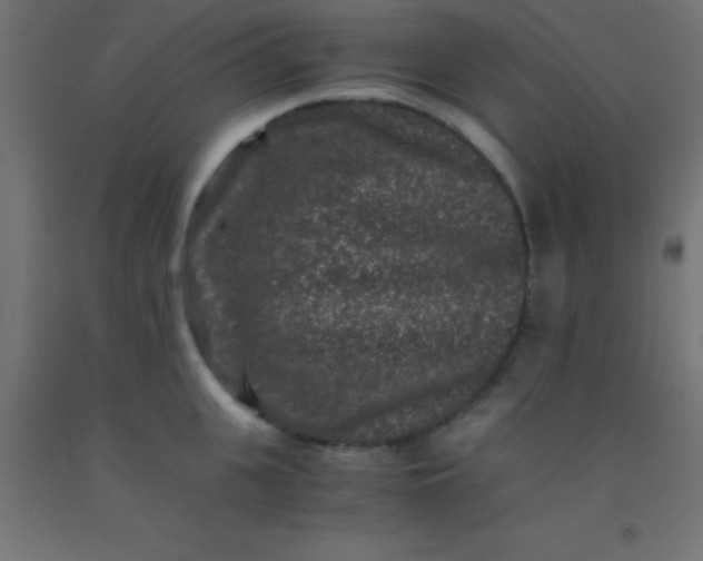 X0000092290951200709281303