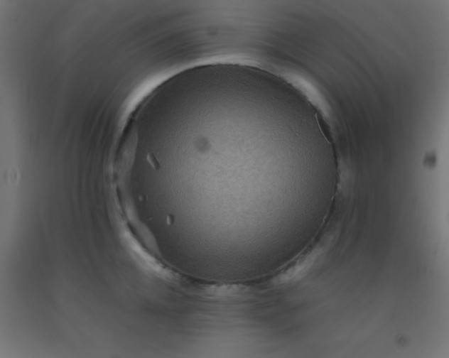 X0000092290952200709281303