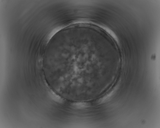 X0000092290953200709281303