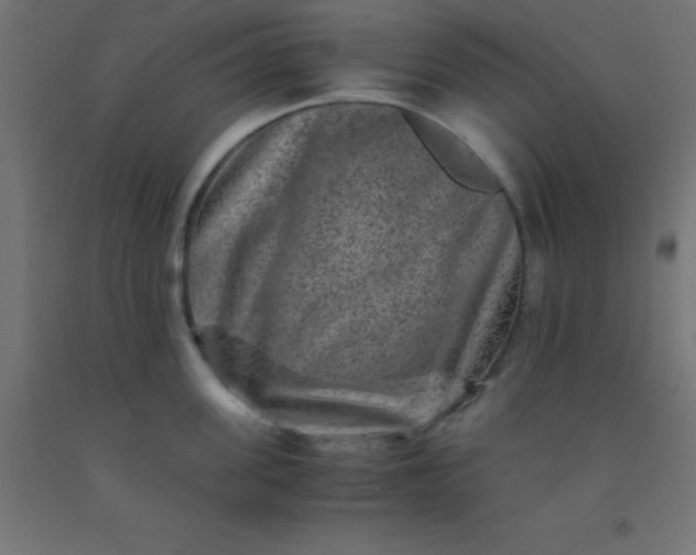 X0000092290955200709281303