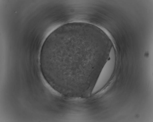 X0000092290957200709281303