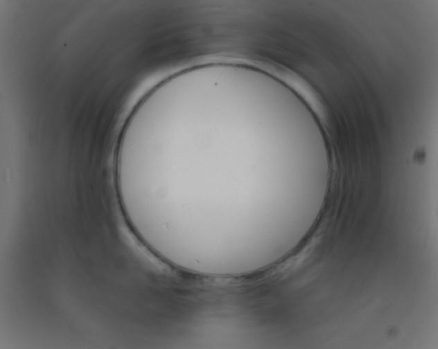 X0000092290958200709281303