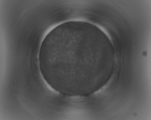 X0000092290959200709281303