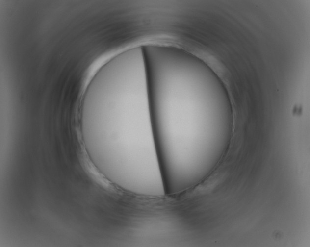 X0000092290960200709281303