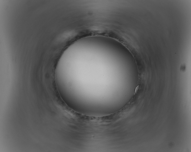 X0000092290961200709281303