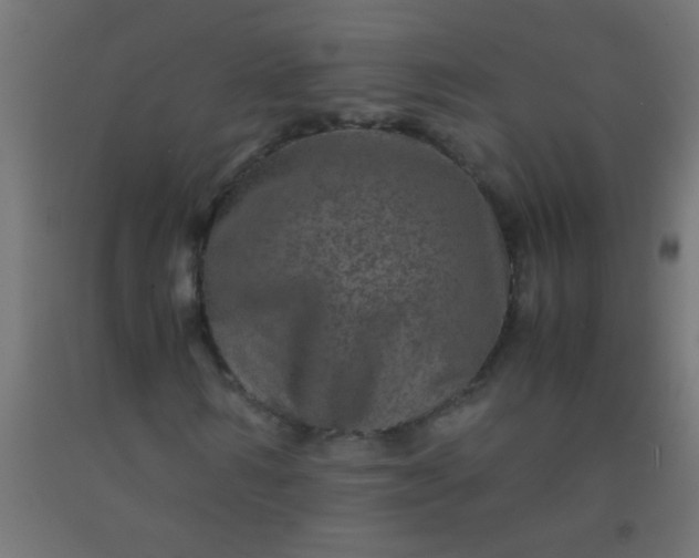 X0000092290962200709281303