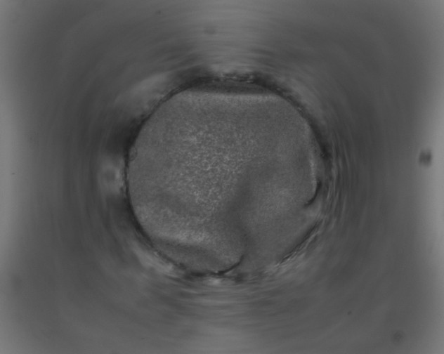 X0000092290963200709281303