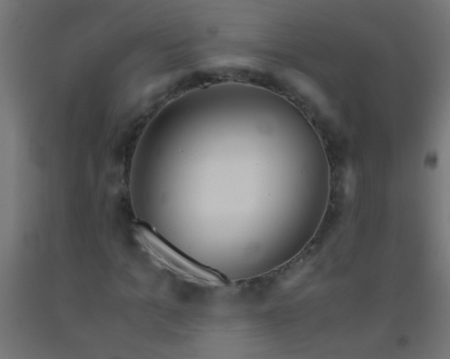 X0000092290965200709281303