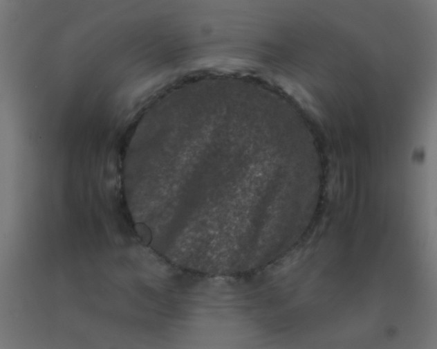 X0000092290966200709281302