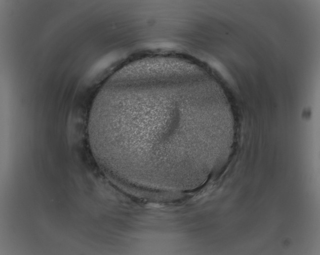 X0000092290967200709281302