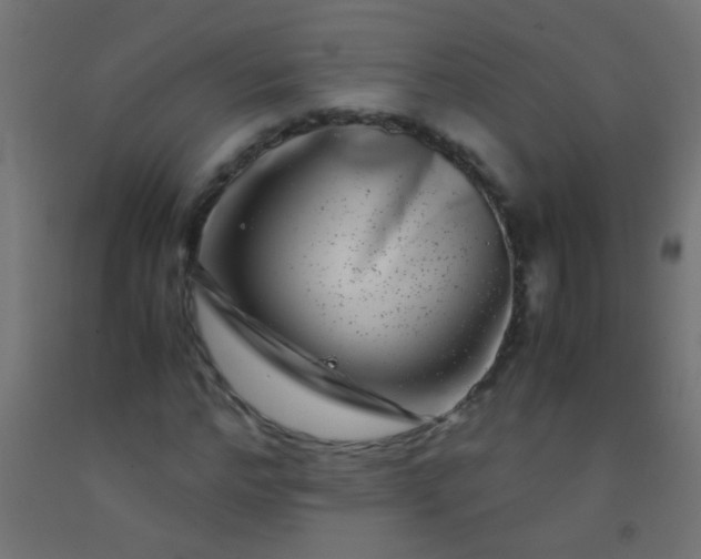 X0000092290968200709281302